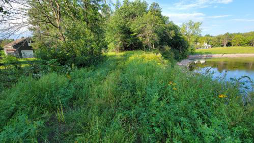 Completed project looking downstream with summer foliage growning in.